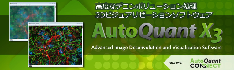 AutoQuant