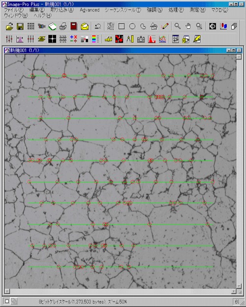 ASTM module screen