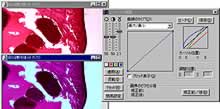 ＢＣＧツール