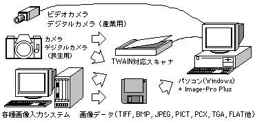 Setup