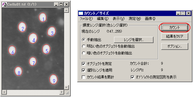 測定を実行
