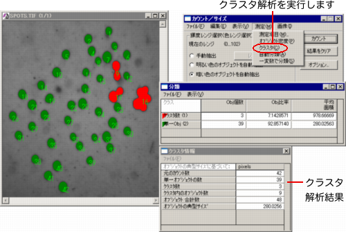 クラスタ解析を実行