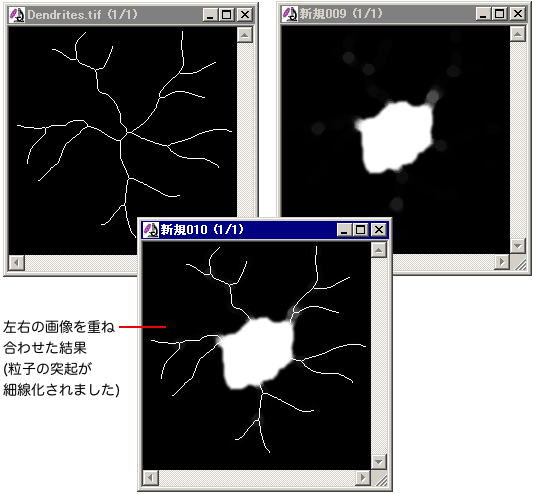 加算の結果