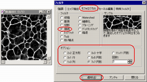 接続フィルタを適用