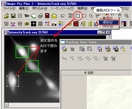 測定領域をAOIで囲む