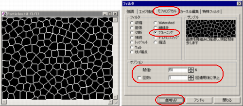 粒子をボロノイ多角形に変換
