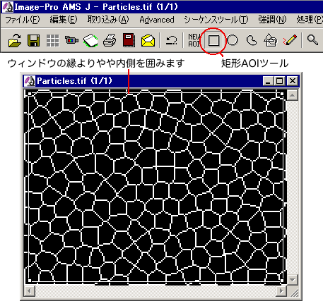 AOIで囲む