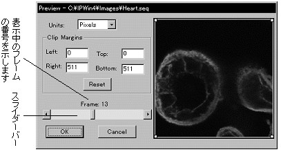 images\ebx_-1002420446.gif