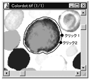 images\ebx_-1019895742.gif