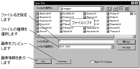 images\ebx_-1380467157.gif