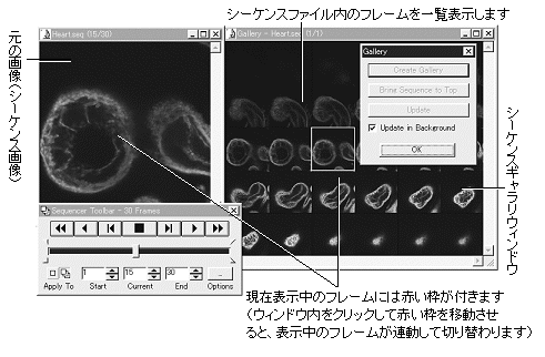 images\ebx_-1500216805.gif