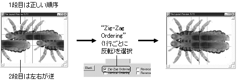 images\ebx_-1669174183.gif