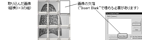 images\ebx_-17736998.gif