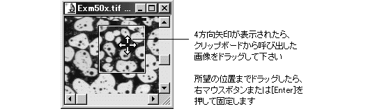 images\ebx_-1775166714.gif