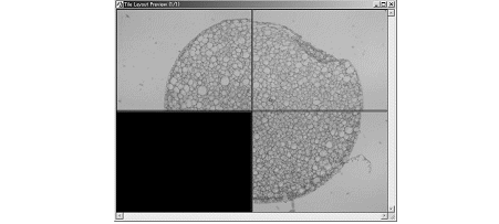 images\ebx_-1857782022.gif