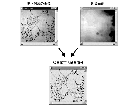 images\ebx_-1952127357.gif