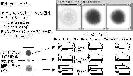 images\ebx_-2014356798.gif