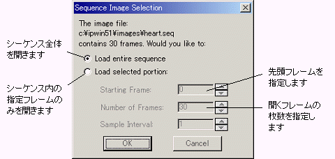 images\ebx_-2056987321.gif