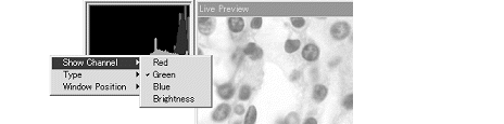 images\ebx_-209018180.gif