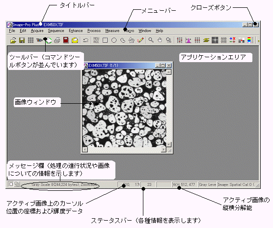 images\ebx_-2109596346.gif
