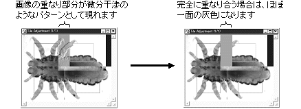 images\ebx_-257554922.gif