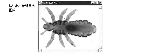 images\ebx_-268953295.gif