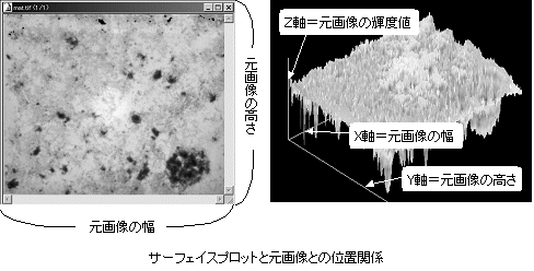 images\ebx_-424114654.gif