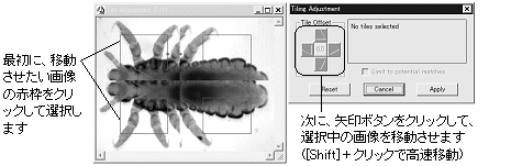 images\ebx_-519831010.gif