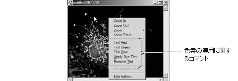 images\ebx_-549266943.gif