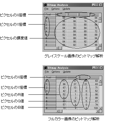 images\ebx_-579549277.gif