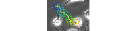 images\ebx_-650215674.gif