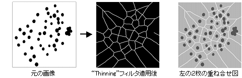 images\ebx_-677844799.gif