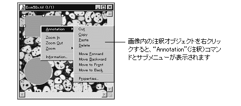 images\ebx_-763739252.gif