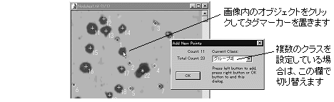images\ebx_-834292554.gif