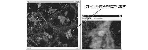images\ebx_-839085751.gif