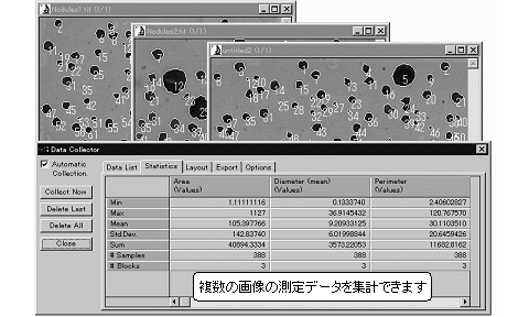 images\ebx_-931069645.gif