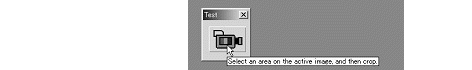 images\ebx_-945337756.gif