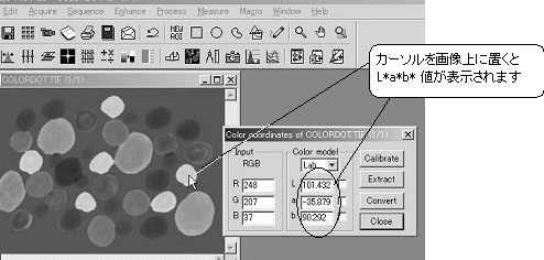 images\ebx_-986458778.gif