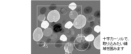 images\ebx_1039717438.gif