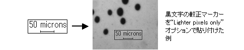 images\ebx_1077237728.gif