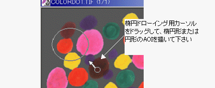 images\ebx_1122329775.gif