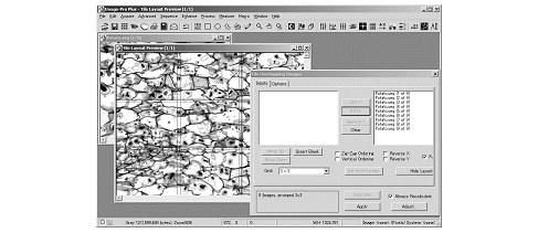 images\ebx_1124789854.gif