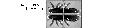 images\ebx_1257955204.gif