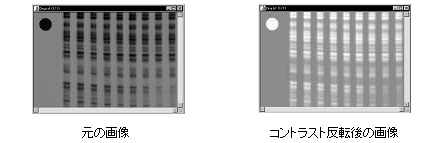 images\ebx_1346562302.gif