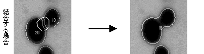 images\ebx_1427750835.gif