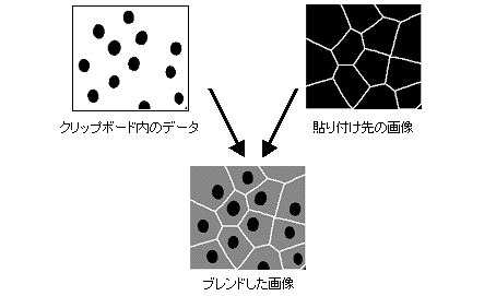 images\ebx_1549576941.gif