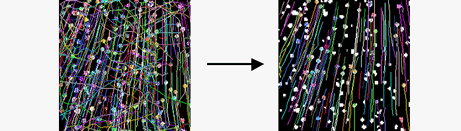 images\ebx_1606070681.gif