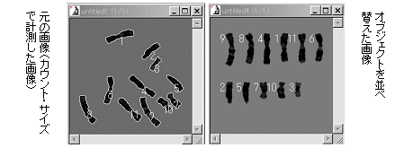 images\ebx_1654839978.gif