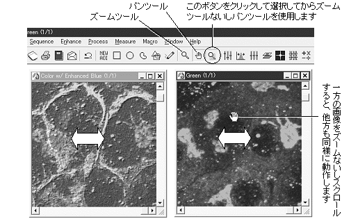 images\ebx_1724154146.gif