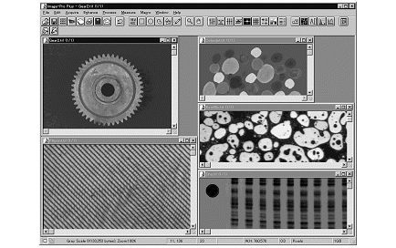 images\ebx_1824346200.gif